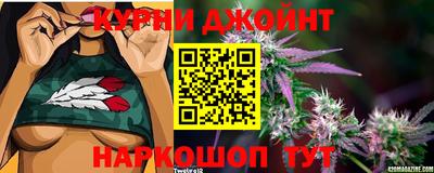 мяу мяу мука Бугуруслан