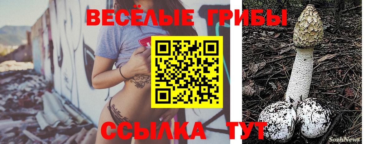 Рыбинск  Галлюциногенные грибы Magic Shrooms  Галлюциногенные грибы GOLDEN TEACHER  Вход с VPN 